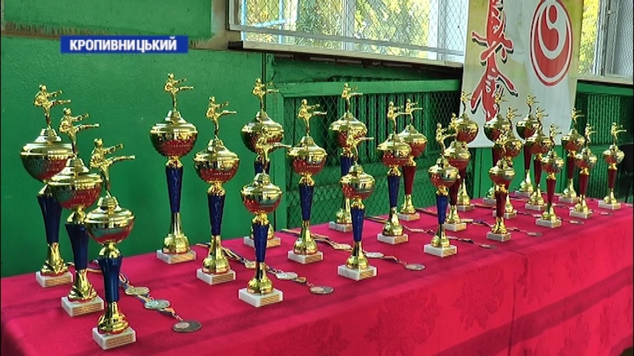 Команда Льотної академії перемогла в чемпіонаті області з кіокушинкай-карате у Кропивницькому
