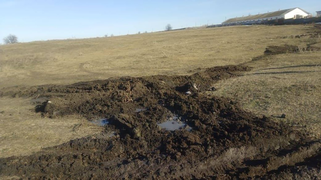 Чотири дні нечистоти з території свиноферми стікали на пасовище у селі Покровське Кропивницького району
