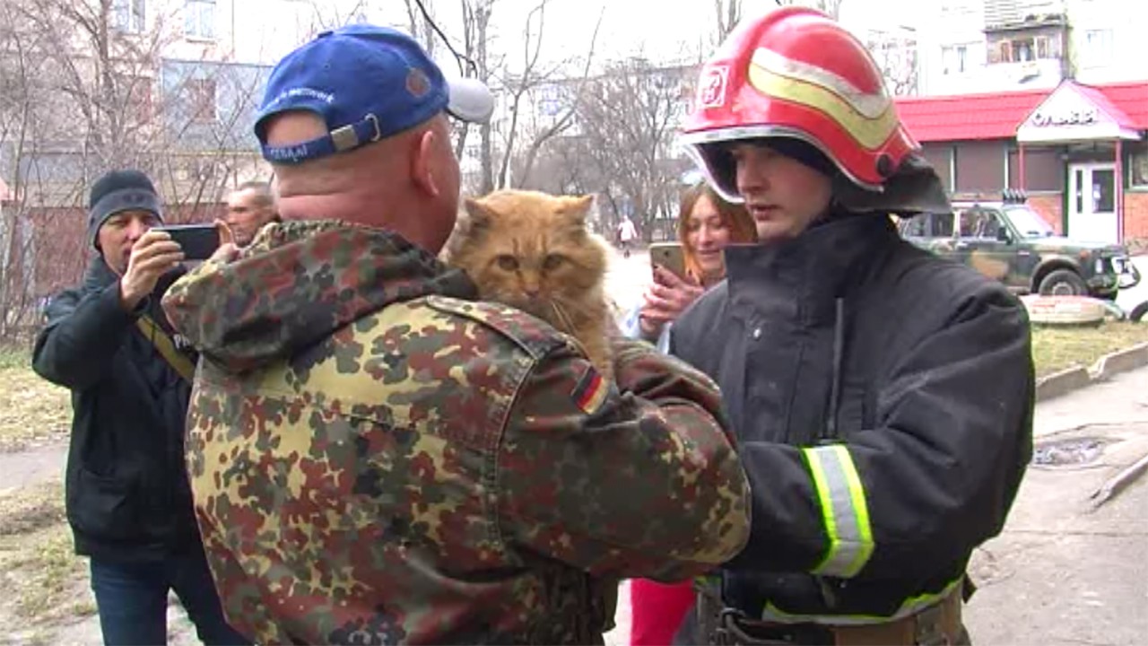 У Кропивницькому врятували кота, який 12 діб просидів у шахті підвалу