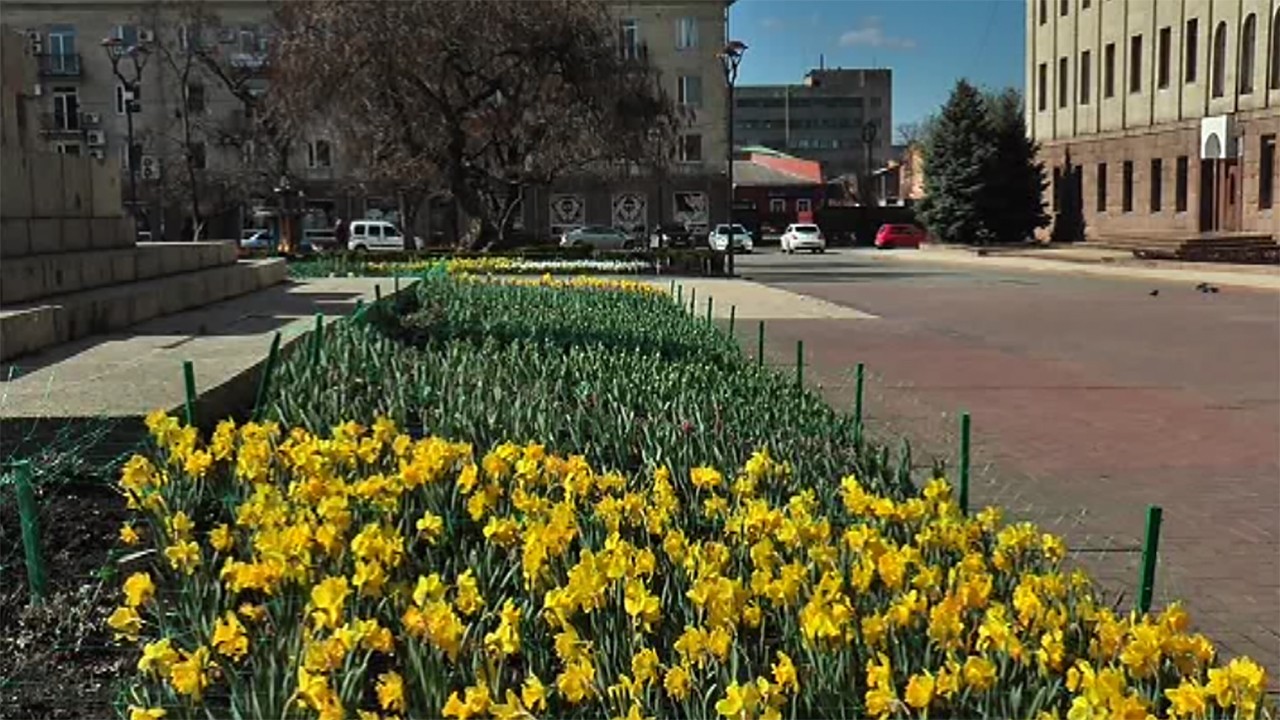 У Кропивницькому на вулиці Велика Перспективна висадили дванадцять тисяч квітів