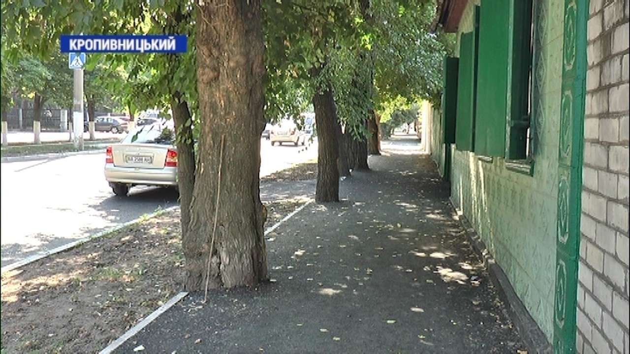 У Кропивницькому на вулиці Короленка заасфальтували вісім дерев під стовбур