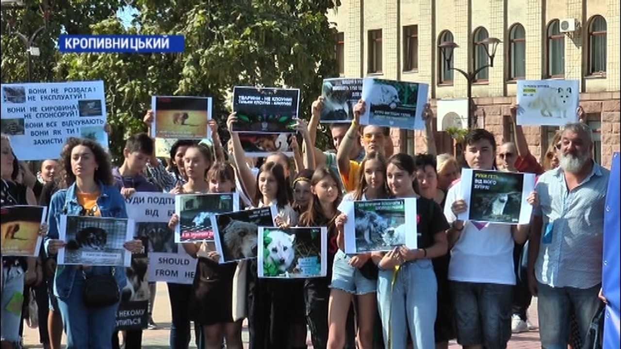 У Кропивницькому 392 людини підписали універсал гуманного ставлення до тварин